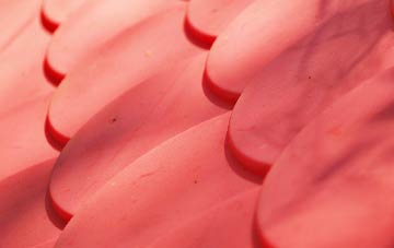 Wildhill plastic roof costs